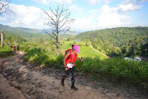 BIB: 
                            <button type="button" onclick="openModal(19332930)" class="btn btn-primary btn-sm float-right btn-popup" data-toggle="modal" data-target=".modal-high-quality">
                        <i class="fas fa-shopping-cart"></i> Add to Cart
                    </button>
                                            <button type="button" onclick="isThisMe(19332930, true)" class="btn btn-success btn-sm float-right btn-popup btn-isme hidden" data-toggle="tooltip" data-placement="bottom" title="นี่คือรูปของคุณใช่ไหม คลิกที่นี่เพื่อเอาเข้าอัลบั้ม">
                        <i class="fas fa-plus"></i> Add to album
                    </button>
                    <button type="button" onclick="isThisMe(19332930, false)" class="btn btn-warning btn-sm float-right btn-popup btn-isnotme hidden">
                        <i class="fas fa-ban"></i> Remove from album
                    </button>